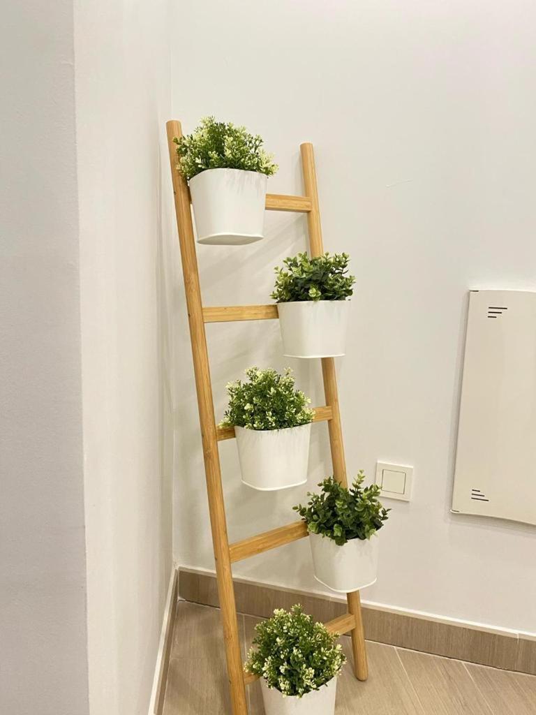 Brisa Puerto Marina Apartments 贝纳尔马德纳 外观 照片